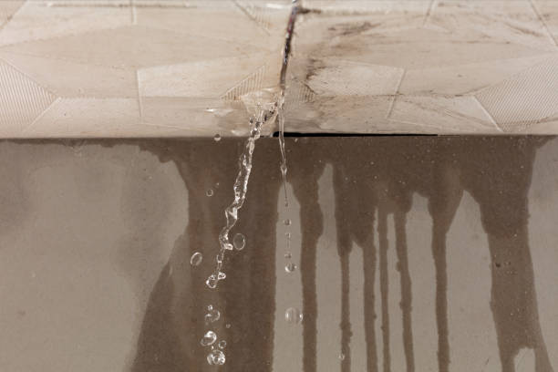 Professional Water Damage Inspection technician working in Edinburg, IL